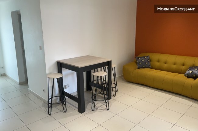 Nice furnished T3 flat - garden