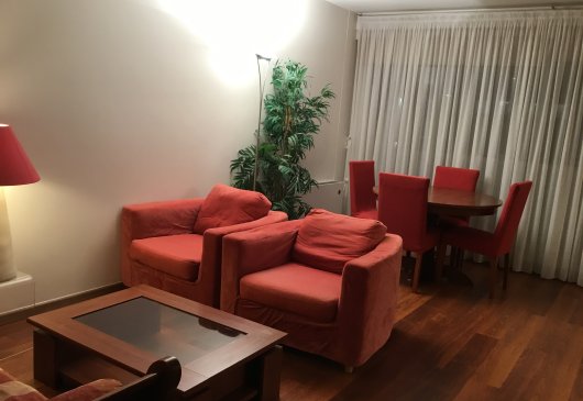 Large furnished studio