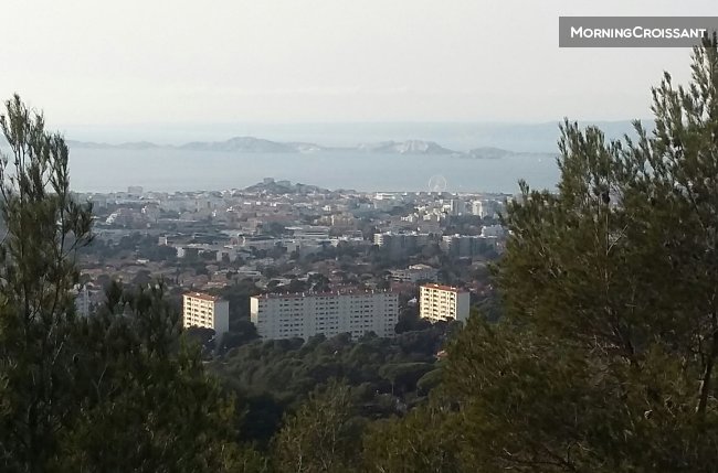 rental -April- May -June 2025