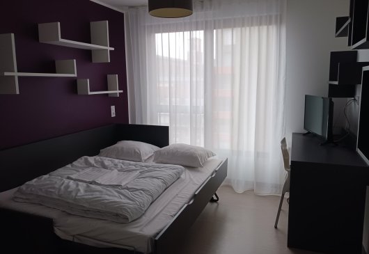 Furnished studio city center