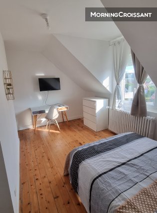 Fully furnished room