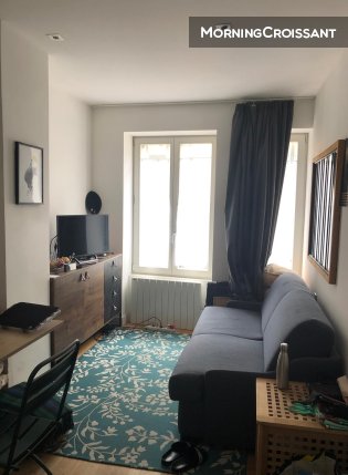 Studio Furnished Cordeliers Lyon 2