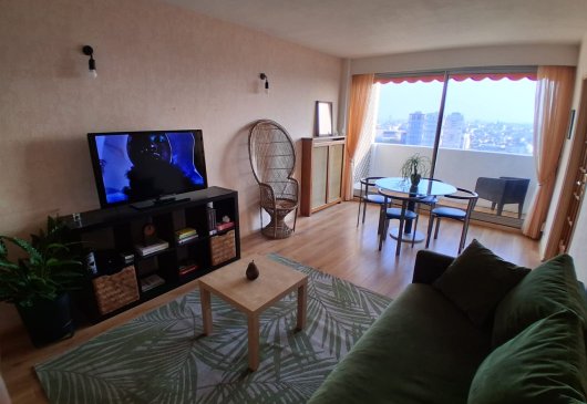 Panoramic view of the Eiffel Tower