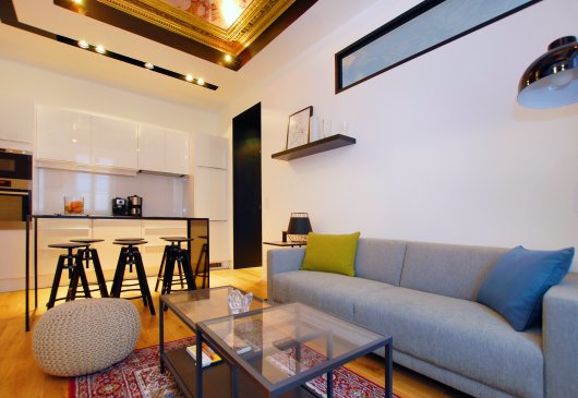 T3 Temporary rental Lyon 2