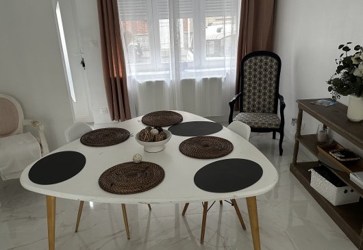 Renovated house + garden near Lille