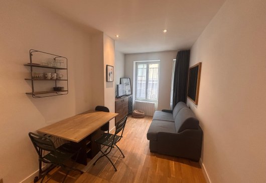 Studio Furnished Cordeliers Lyon 2