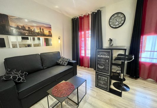 Furnished flat in Montauban