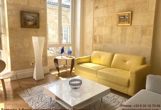 Fantastic 3-Room apartment Bordeaux