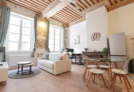 2 rooms furnished rental Lyon