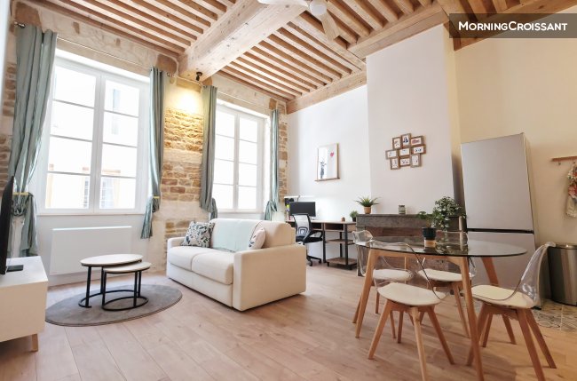 2 rooms furnished rental Lyon