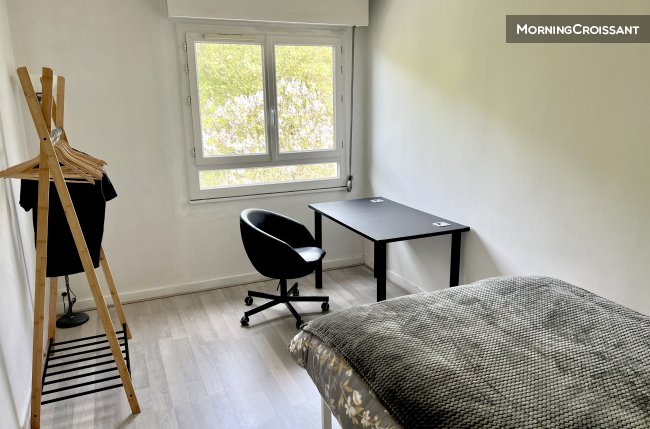 Spacious, Comfortable Flat