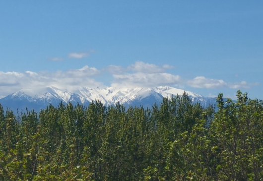 Flat views of Canigou and Corbières