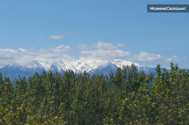 Flat views of Canigou and Corbières