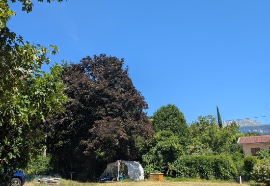 Voiron, “the countryside in city”