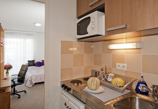 Furnished studio in a residence