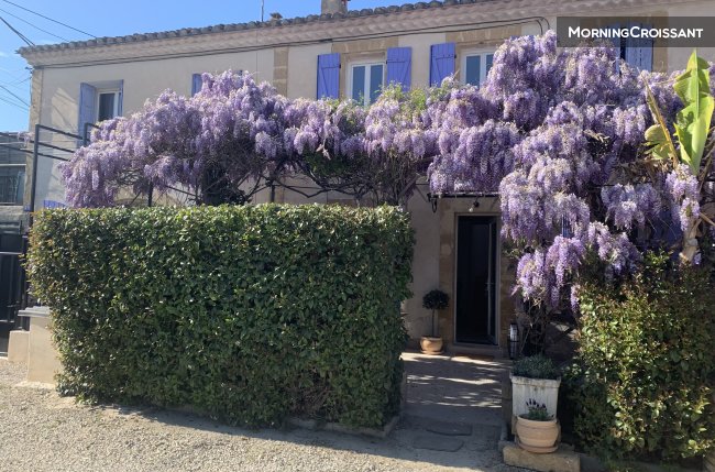 WisteriaFarmhouse &private car park