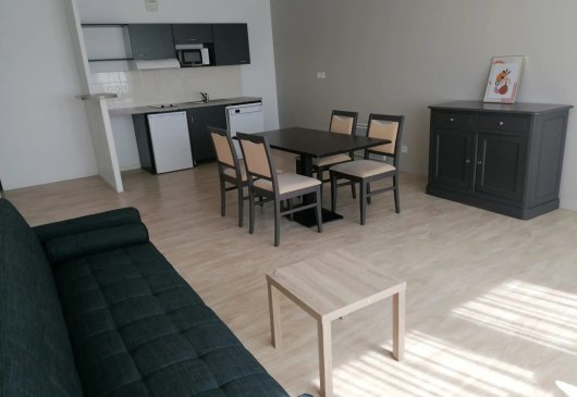Furnished flat in a residence