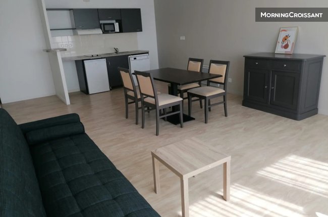 Furnished flat in a residence