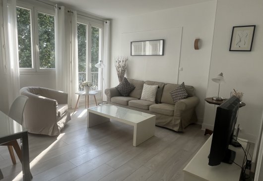 Furnished flat – view of the Seine
