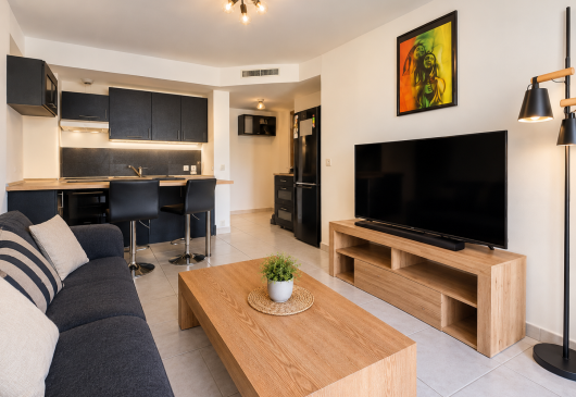 1 bedroom flat with a terrace