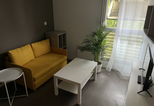 Furnished flat in a residence
