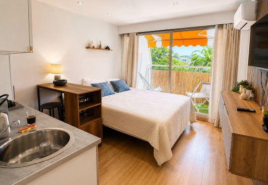 Renovated studio with terrace