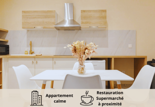 Furnished flat near Roanne station