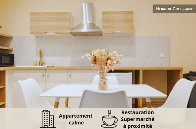 Furnished flat near Roanne station