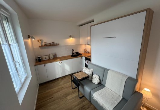 Bright Renovated Studio Near Paris