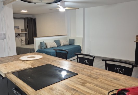 Large, renovated, furnished studio