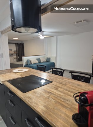 Large, renovated, furnished studio